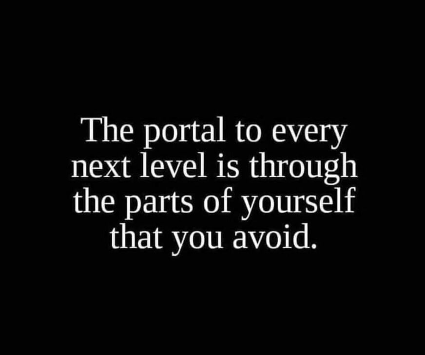 The Portal to Every Next Level is Through The Parts of Yourself that you Void